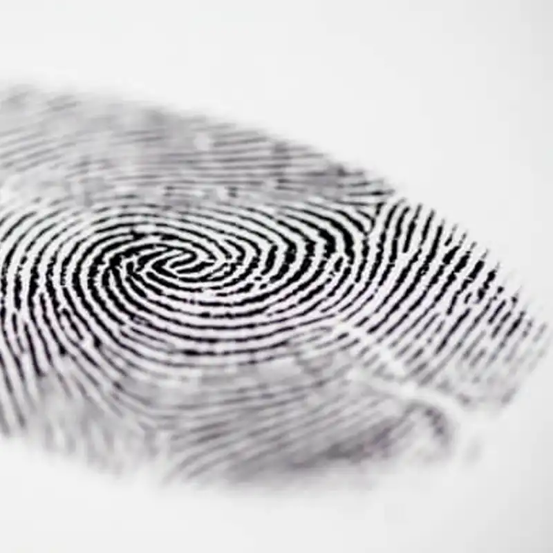 Police Record & Criminal Background Check Services in Lebanon, UAE & GCC